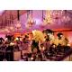 White Outside Marquee Event Tent , 1000 People Wedding Party Tent