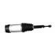 W309255002 Rear Left / Right Air Suspension Shock Absorber For Tesla Model X 2016-2021.