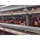 High Efficiency Automatic Chicken Cage H Type  Free Layout Design