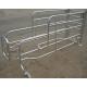 Adjustable Pig Farrowing Crate Fully Hot Dip Galvanized Steel Pipe Material
