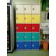 Strong / Beautiful Employee Storage Lockers 5 Comparts 1 Column For Public Place