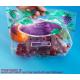 Fresh Fruit Pack Recycle PP Fruit Packaging Bag With Bottom Gusset For Grape bags Packing