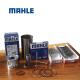 Mahle D6D D6E Overhaul Parts 385-1657 2129-1110 For VOLVO EC210 Excavator