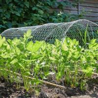 Garden 1/2'' Hexagonal Wire Netting 12M galvanised chicken wire mesh