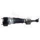 2213200438 Air Suspension Shock Absorber For W221 4 Matic Air Strut