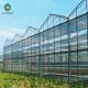 Wind Galvanized Steel 12m Multi Span Glass Greenhouse