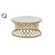 Modern Style Dia 90cm SS Coffee Table Round Shape Golden frame