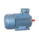 Three Phase Low Voltage Induction Motor Y1 / Y2 / YE1 Electric Power Motor
