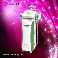 High performance NUBWAY best quality 5 handles vacuum cryolipolysis machine
