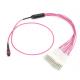 ROHS Approval Fiber Cable Assembly MPO/MTP Fiber Optic Fan Out Kit