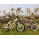 Godd quality OEM special 36 spoke wheel Shimano 21 speed light 6061 aluminium alloy mountain bicycle for travel