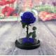 Preserved Fresh Flower Live Enchanted Rose in Glass Dome Cover with Gift Box Forever Real Rose Everlasting Flower