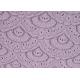 Fan Shaped Lace Fabric , 150CM Width for Ladies Garment CY-CT8521