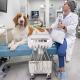 Foshan Veterinary Equipment Factory Mobile Dental Delivery Unit Vet Use Dental Treatment Cart for Small Animals