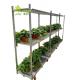 Danish Flower Trolley Cc Container From China Manufacture