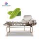 150KG 2.05KW Automatic fruit and vegetable segmentation machine stainless steel vegetable and fruit cutting machine