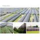 UV Treated Greenhouse Shade Net / Green Garden Net For Roofing Agriculture Cover
