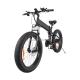 48v 750w Professional Ladies Electric Mountain Bike Lightest Mtb E Bike