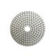 100mm Flexible Concrete Polishing Tools / Wet Diamond Polishing Pads