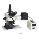 Trinocular Halogen Lamp Microscope DIC Metallurgical Optical Infinity Plan LWD Industry