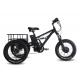 48V 750W Electric Bike Tricycle Fat Tire 7 Speeds With Front And Rear Baskets