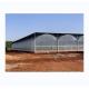 Intelligent Greenhouse For Tomato Cultivation Multi Span Film Green House By Shine Tech