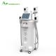 Factory price 4 handles Cryolipolysis Fat Freeze Slimming Machine With 1600W Output Power