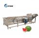 Industrial Fruit And Vegetable Processing Line