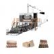 Durable Fully Automatic Egg Tray Machine Egg Cartons Machine