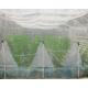 Plain Weaving Insect Mesh Netting 0.6 * 0.6mm Odorless White For Small Shed