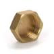 Female Threaded End Cap Brass Hex Head End Stop Fitting For Air Gas Water Pipeline