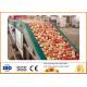10T/H Capacity  Apple Juice And JamProcessing Plant  ISO9001