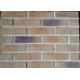 Lightweight Artificial Outdoor Faux Brick Panels For Apartment / Hospital / University