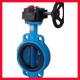 Custom Made Clamp Butterfly Valve / Water Supply Manual Butterfly Valve