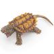 Wildlife Animal Model Snapping Turtle Model Toy Collection Party Favors Toys For Boys Girls Kids