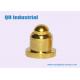 Pogo Pin,High Precision Brass Plunger Stainless Steel Spring 1 mm to 12 mm Male