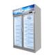 Double Layer Tempered Glass Door Display Commercial Upright Freezer