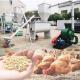 2000kg/H Ring Die Feed Pellet Mill Straw Poultry Feed Maker Machine