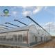 Venlo Roof 9.6m Multi Span Greenhouse For Vegetables