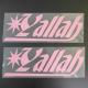 Full Colour HTV Heat Transfer Vinyl Logo Digital Design Iron On Logo Printing