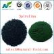 Hot selling spirulina with  ISO and HACCP with high quality