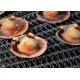 Seafood Freezer 304 316 Stainless Steel Spiral Mesh Belt