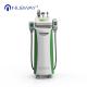 Newest-released!!! The most featured Cryolipolysis Slimming Device Green Vertical