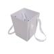 PDF CDR AI Square Cardboard Flower Boxes EVA Insert With Handle