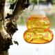 Hanging Outdoor Gourd Fly Fruit Wasp Flying Insect Trap Killer Catcher Pest Control