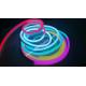 Shenzhen factory dust-free workshop high quality addressable led neon tube strip light