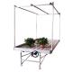 5x13 Feet Ebb Seedbed With Trellis Hanging Net Light For Medical Plants Rolling Greenhouse Benches