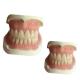 CAD Denture Dental Lab CAM Rubber 3D Printed Tooth Crown Natrural Shade