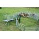 16 Panel portable round yard panels,  Cattle Fences, Corral 11m Diameter