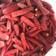 Wholesale Prices Spicy Taste IQF Frozen Vegetables / Jinta Red Chilli Without Stalks
